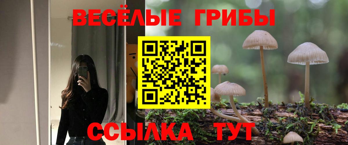 Галлюциногенные грибы Magic Shrooms Майкоп