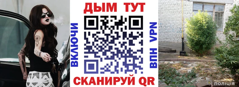 Каннабис Bruce Banner  Майкоп 